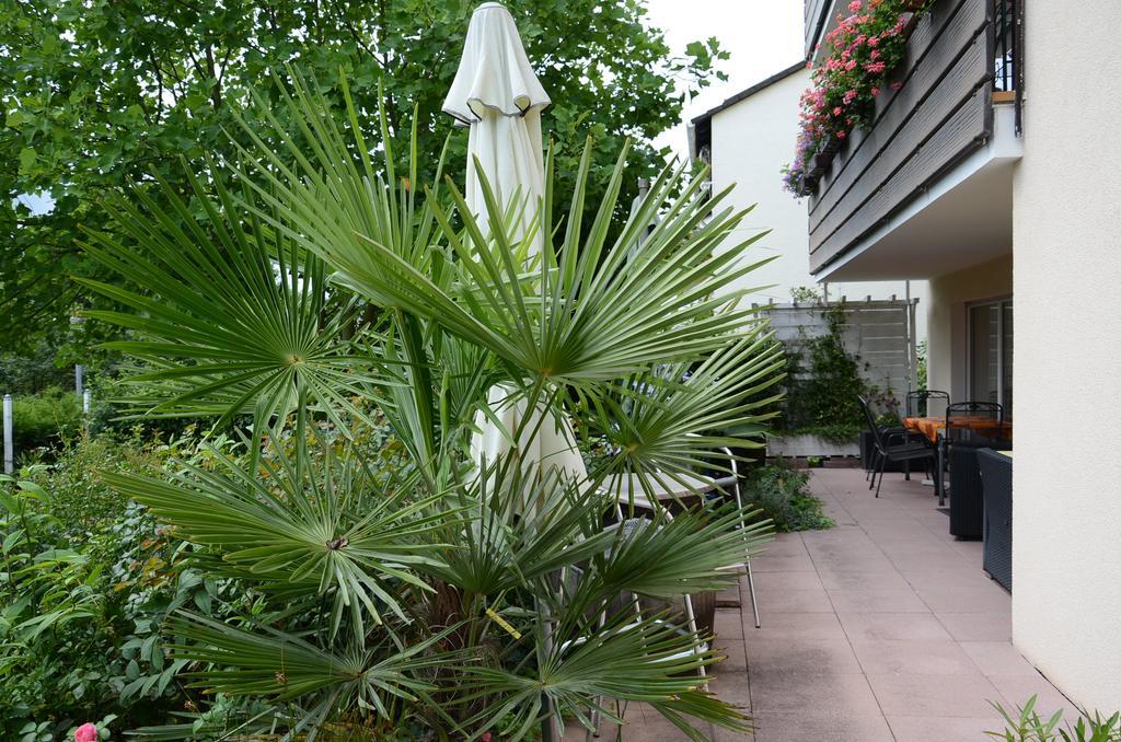Gaestehaus Nagoldblick ฟอร์ซไฮม์ ภายนอก รูปภาพ